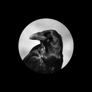 欧美一区一区二区无码少妇
